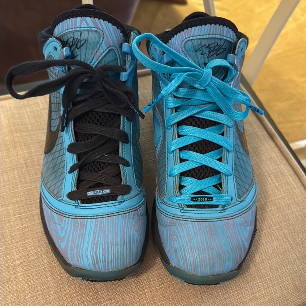 Nike Black and Blue LeBrons